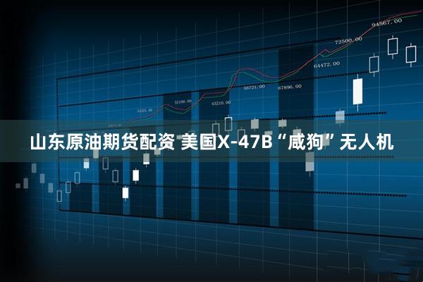 山东原油期货配资 美国X-47B“咸狗”无人机