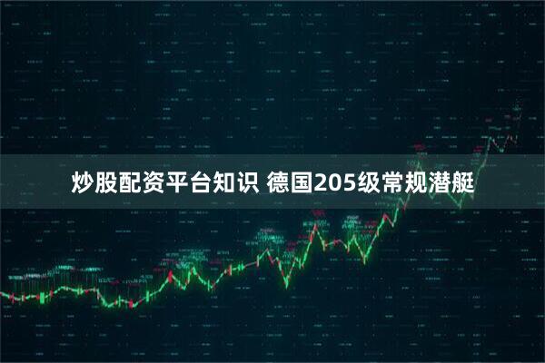 炒股配资平台知识 德国205级常规潜艇